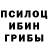 Галлюциногенные грибы прущие грибы Michael Adudonkor