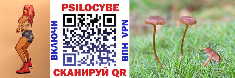 OMG ТОР  купить  сайты  Верхний Тагил  Псилоцибиновые грибы Magic Shrooms 